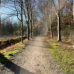 De Wilde Hoek
