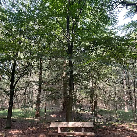 فندق مبيت وإفطار De Wilde Hoek