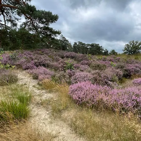 De Wilde Hoek Bed & Breakfast