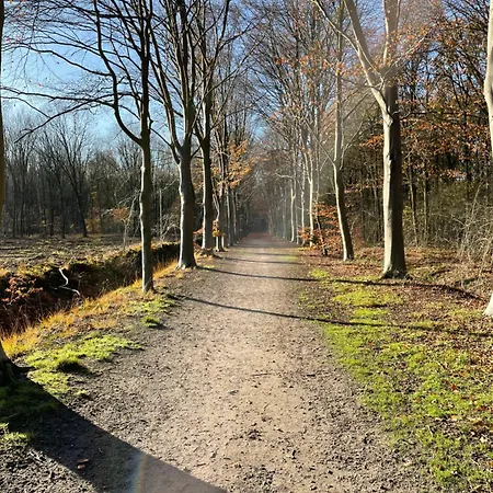 De Wilde Hoek