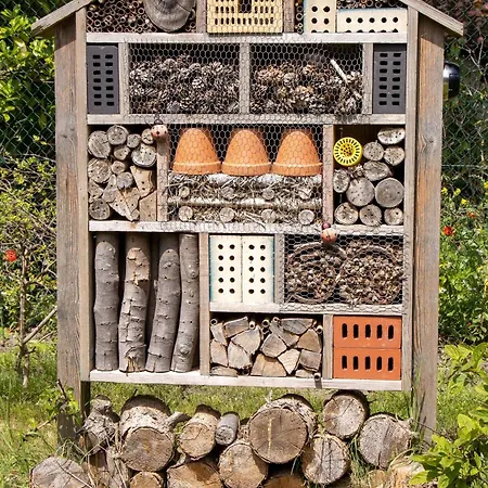 De Wilde Hoek Bed & Breakfast Plantage Centrum