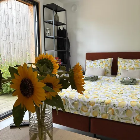 Bed & Breakfast De Wilde Hoek Plantage Centrum