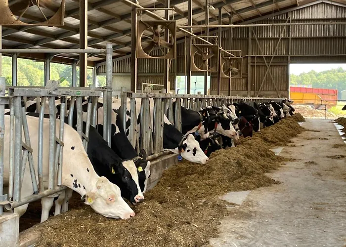 De Wilde Hoek Bed and Breakfast