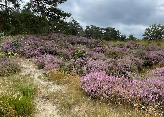De Wilde Hoek Bed and Breakfast