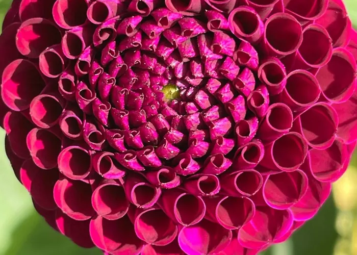 Bed and Breakfast De Wilde Hoek Plantage Centrum