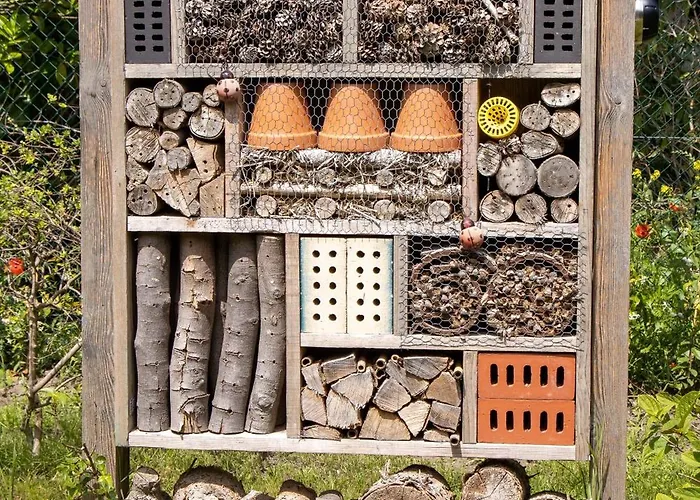 De Wilde Hoek Bed and Breakfast Plantage Centrum