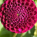 B&B De Wilde Hoek Plantage Centrum